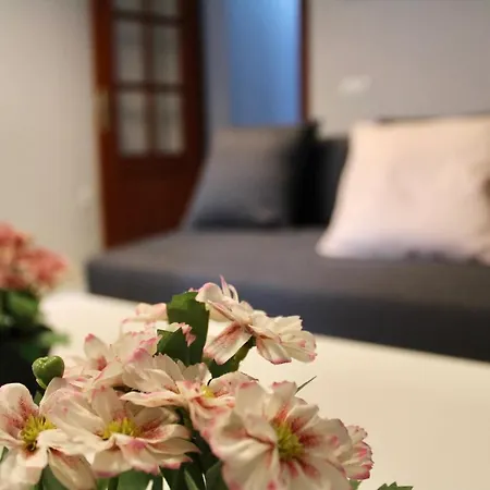 Wish Suite Puerta Osario Apartment *