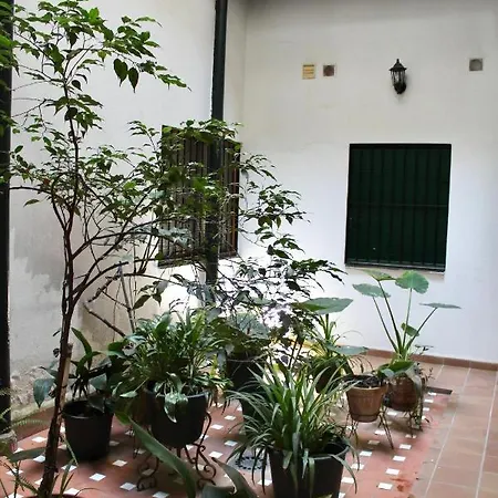 Wish Suite Puerta Osario *